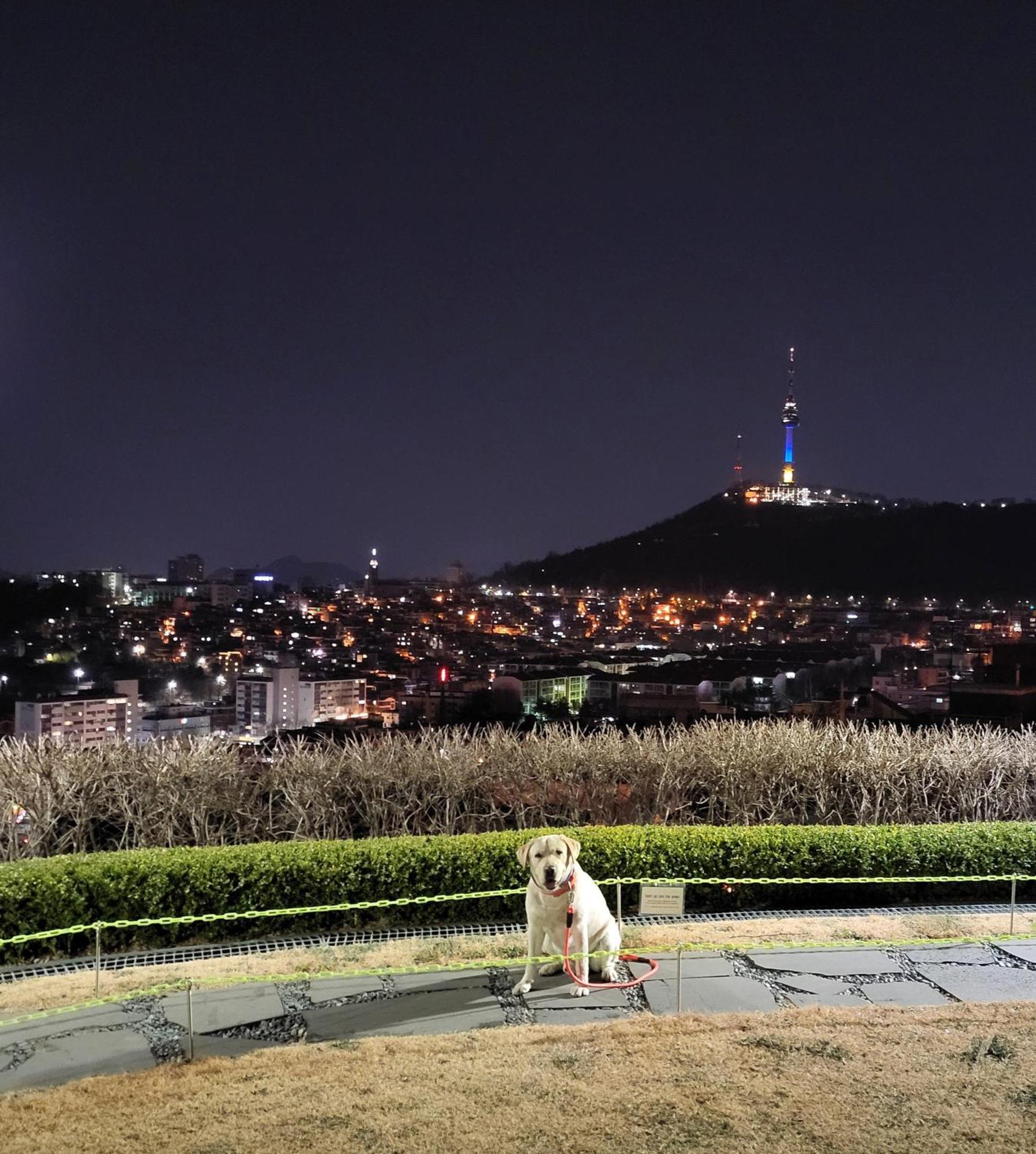 Newly Renovated 2 Bedroom Apartment #7 Seoul Exterior photo